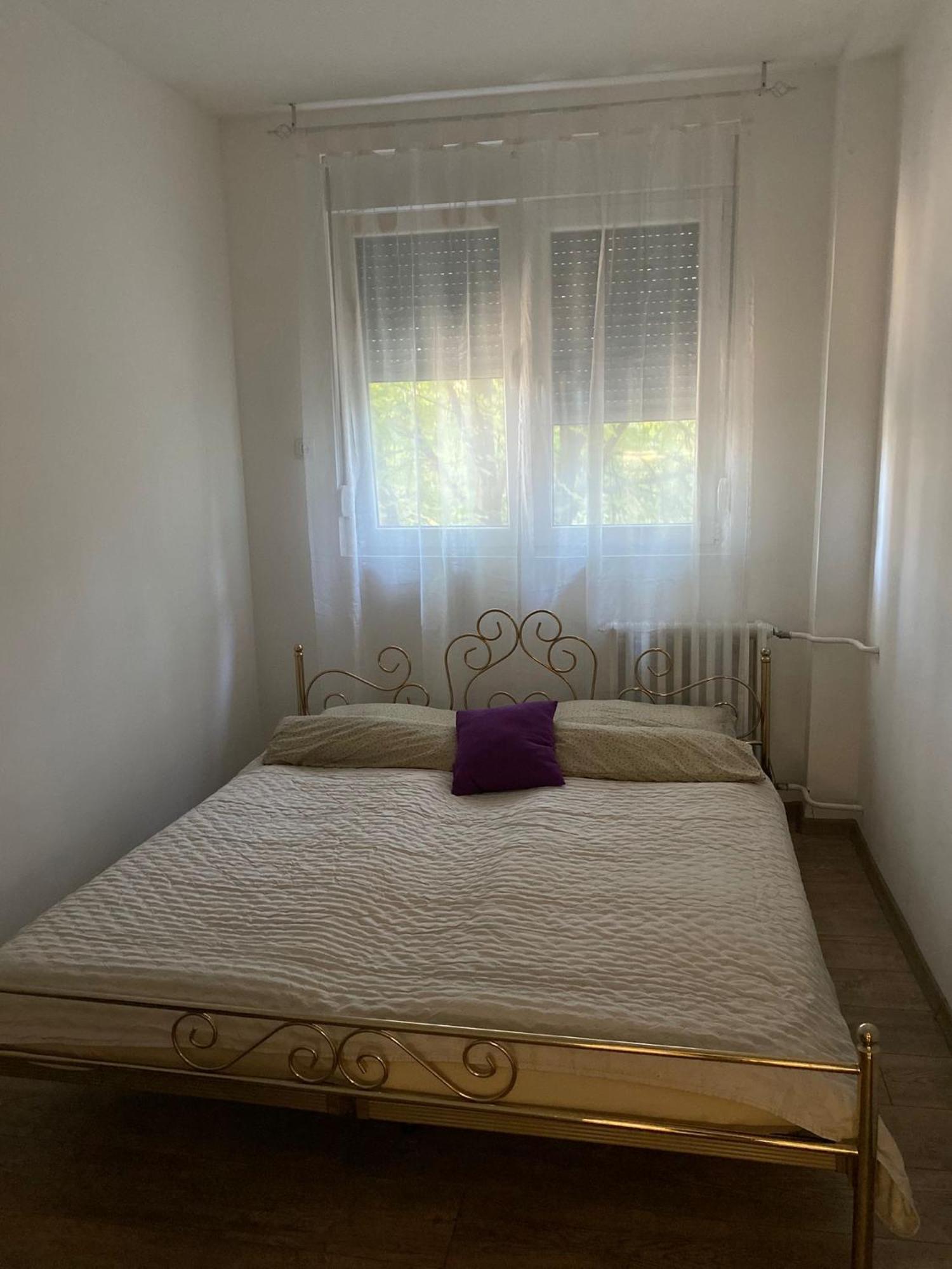 Vanja Apartman Vrsac Exteriör bild